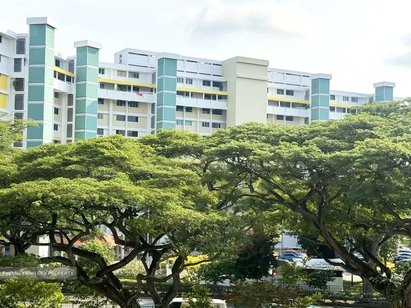 Blk 50 Chai Chee Gardens (Bedok), HDB 3 Rooms #602466921